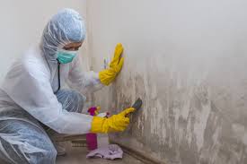 Asbestos and Lead Testing During Mold Inspection in Gettysburg, SD